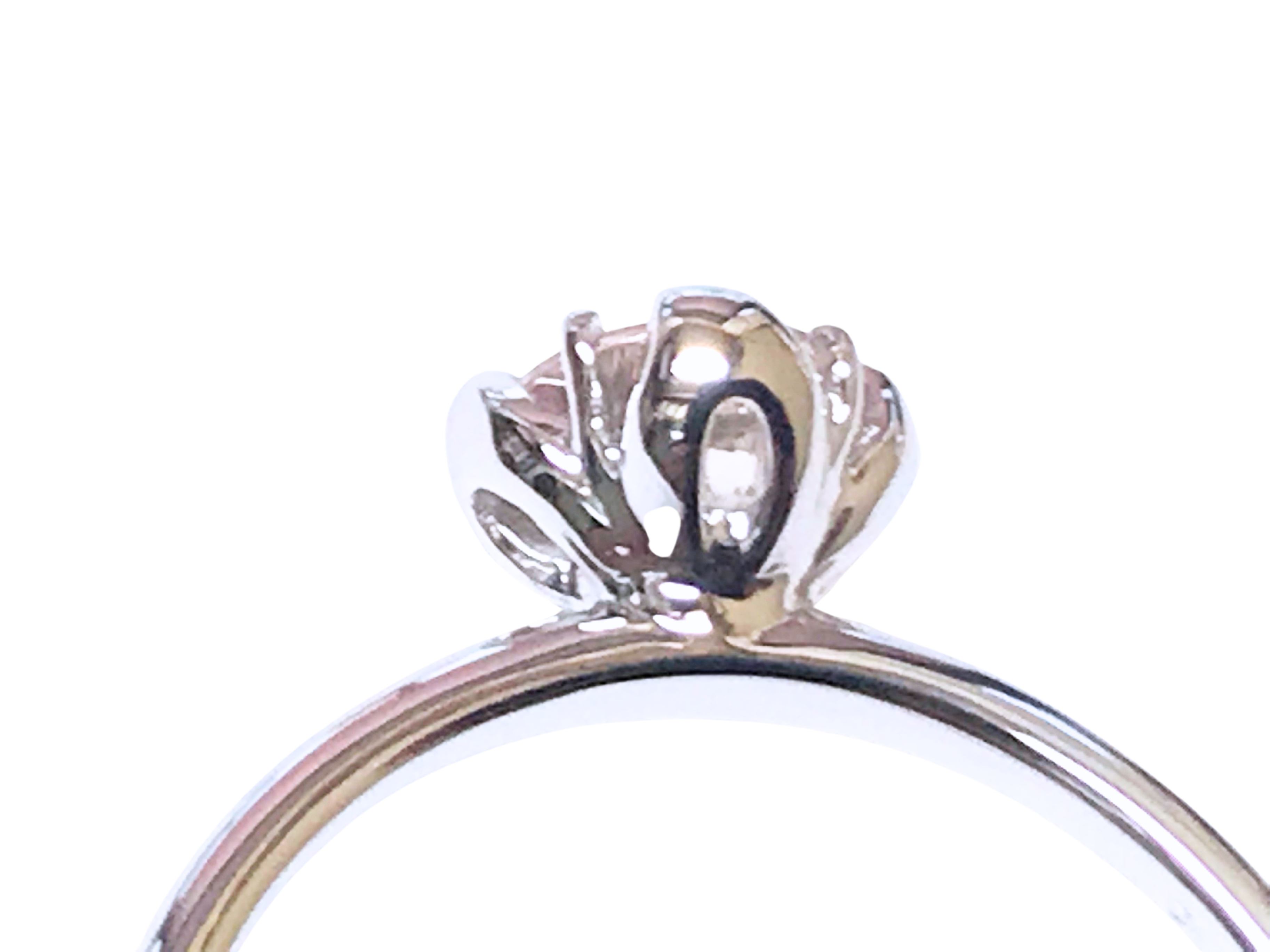 アーティスティックコレクション